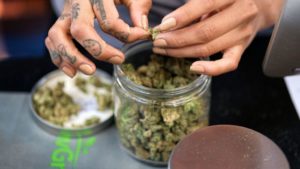California Fears Federal Crackdown on Marijuana