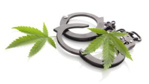 Marijuana Arrests Higher For Blacks in Legal Weed States