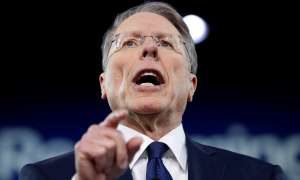 Wayne LaPierre-NRA-Politics